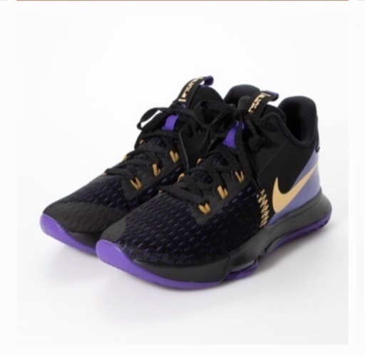 NIKE レブロンウィットネスⅤ  26cm