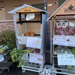 冬野菜100円！！