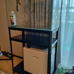 水槽セット　引退品