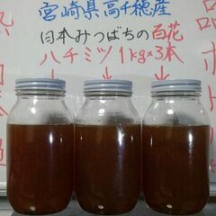 宮崎産 百花はちみつ 3kg(1kg×3本) 天然 蜂蜜 ハチミツ