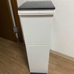 【ネット決済・配送可】2段ゴミ箱