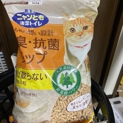 猫のトイレ