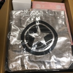 ディズニーストアの福袋とディズニーオンラインショップその他諸々