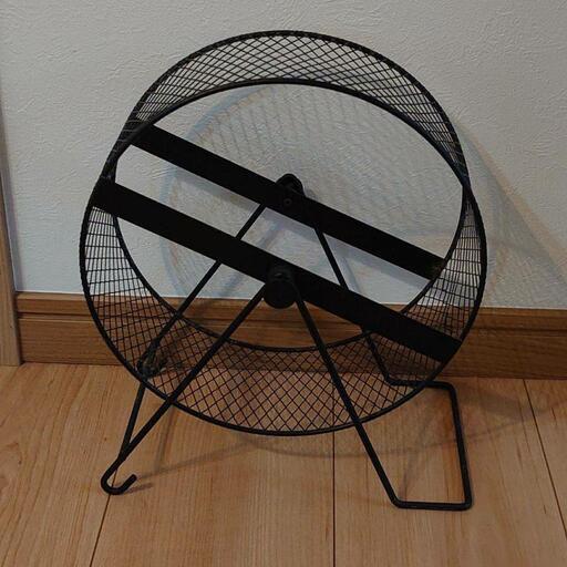 ハリネズミ ハムスター テグー うさぎ 爬虫類 飼育セット