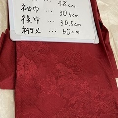 【ネット決済】【真紅の着物】美保姿きもの学院での購入品