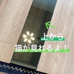 本当におすすめです！【猫のためのテーブル】