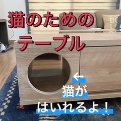 本当におすすめです！【猫のためのテーブル】