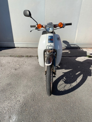 カブ　c70