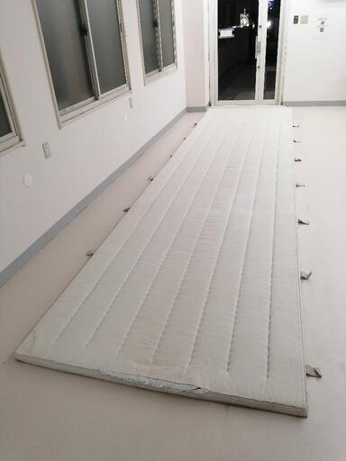 レリックトークン ライフカウンター mtg 天使 ドラゴン ゴブリン 猫 ゾンビ