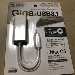 【ネット決済】新品未使用⭐︎Sanwa giga&USB3.1 ...