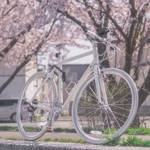 2016 FUJI PALETTE ホワイト 中古 21インチ