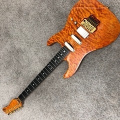 Valley Arts Custom Pro SRE-270 試奏ok