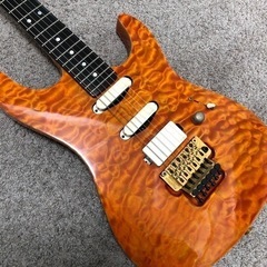Valley Arts Custom Pro SRE-270 試奏ok