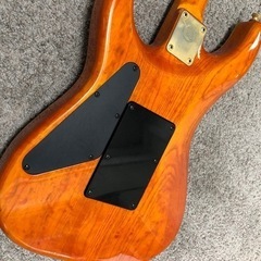 Valley Arts Custom Pro SRE-270 試奏ok