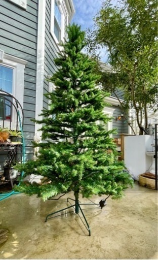 大型イルミネーション付きクリスマスツリー