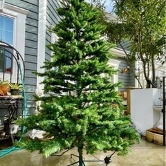 大型イルミネーション付きクリスマスツリー