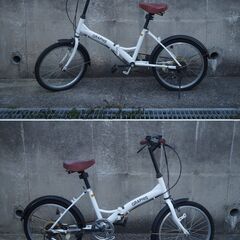 【自転車】GRAPHIS (グラフィス) 折りたたみ自転車・シマ...