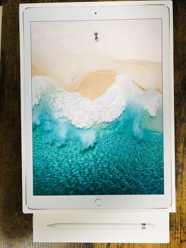 iPad Pro 12.9インチ（第2世代）Cellular美品 256G