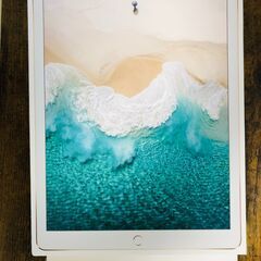 iPad Pro 12.9インチ（第2世代）Cellular美品...