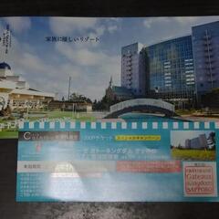 シャトレーゼキングダム札幌
ペアチケット 2泊3日