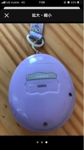 たまごっち 紫  ミーツ2484972 たまごっち 紫 ミーツ2484972