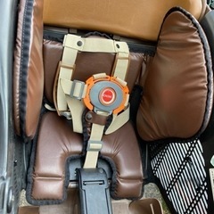 子ども乗せ自転車🚲