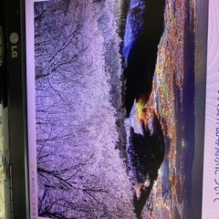 冬の祭典2022さっほろ雪まつり期間            航空チケット大人2名