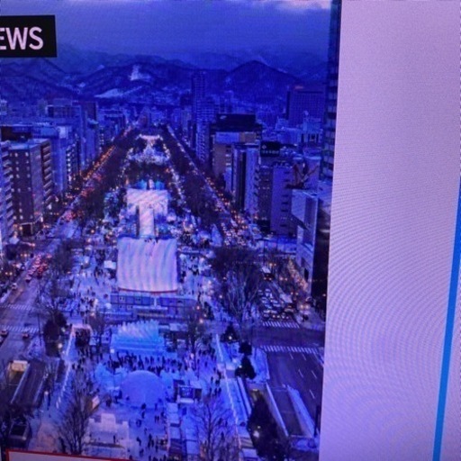 冬の祭典2022さっほろ雪まつり期間 航空チケット大人2名