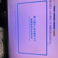 冬の祭典2022さっほろ雪まつり期間            航空チケット大人2名