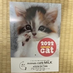 2022年　仔猫カレンダー