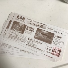 【ネット決済・配送可】愛真館　ご入浴券15枚　（有効期限2/4）