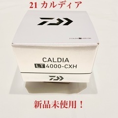 【ネット決済】新品未使用！　ダイワ　21カルディア  4000-CXH