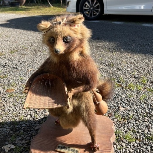 タヌキハク製