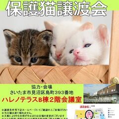 【予約不要】１/９（日）ハレノテラス保護猫譲渡会