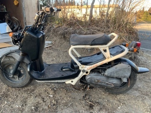ホンダ　ズーマー　HONDA