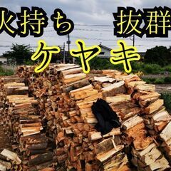 強運🌄到来　🔥🔥🔥ソロキャンプ🪓⛺　焚き火を愛する方に　ケヤキ薪...