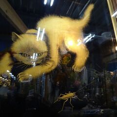 ※商談中※沈金彫額面　「猫」　作：板谷光治【愛品倶楽部柏店】