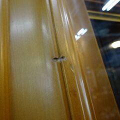 ※商談中※沈金彫額面　「猫」　作：板谷光治【愛品倶楽部柏店】