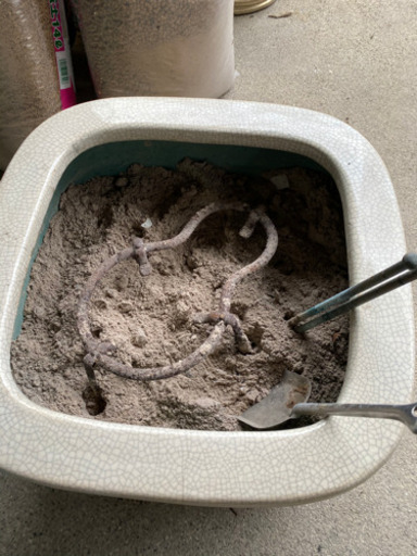 角火鉢 陶器 メダカ鉢 手あぶり