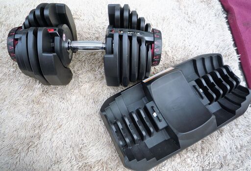 ☆ボウフレックス BOWFLEX 1090i セレクトテックダンベル 48kg×2個