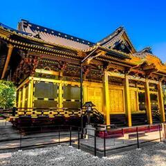 1月8日 土曜日 東京寺社巡り 一緒にどうですか?