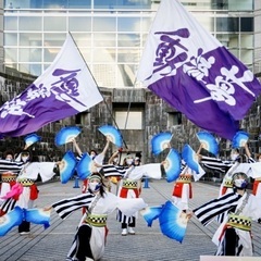 ◆K-one動流夢 よさこいメンバー募集です◆　横浜 - 横浜市