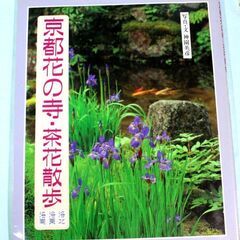 40・京都・花の寺・茶花散歩・洛北・洛南・洛東