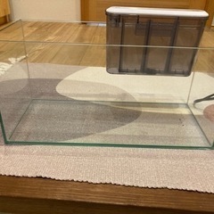 【取引中】GEX 水槽　ガラス製