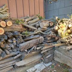 原木、伐採木　ストーブの薪にいかがですか?