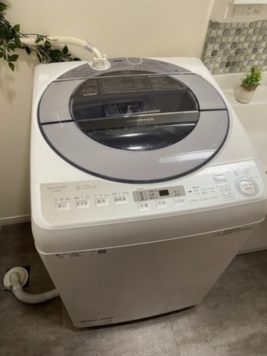 SHARP 8kg 洗濯機 2019年製 - arborconnect.co.nz