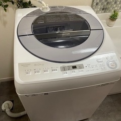SHARP   8kg   洗濯機　2019年製