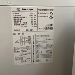 SHARP   8kg   洗濯機　2019年製