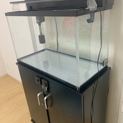 GEX 60センチ水槽　初心者全てセット