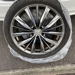 レオニス19インチ